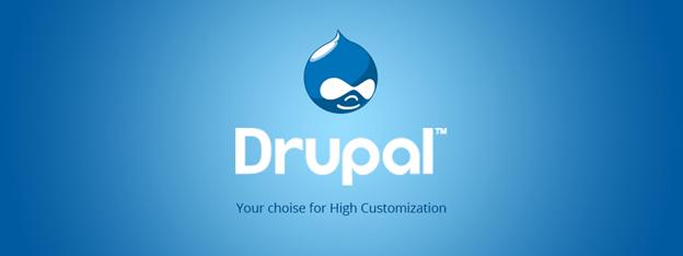 professional drupal programmers